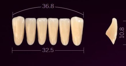 79626d94-113e-4e26-bb9e-981d72b0bf13.jpg