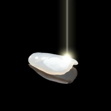 88c30d85-de53-4934-a290-6620020e1b24.png